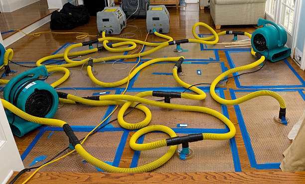 Professional Crawl Space Water Removal technician working in Plymouth, ME